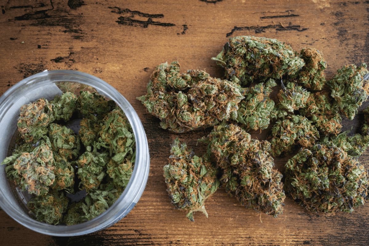 CBD Kush Auto Tested by Experts: Trust Green Leaf Store EU's Medicinal Marijuana