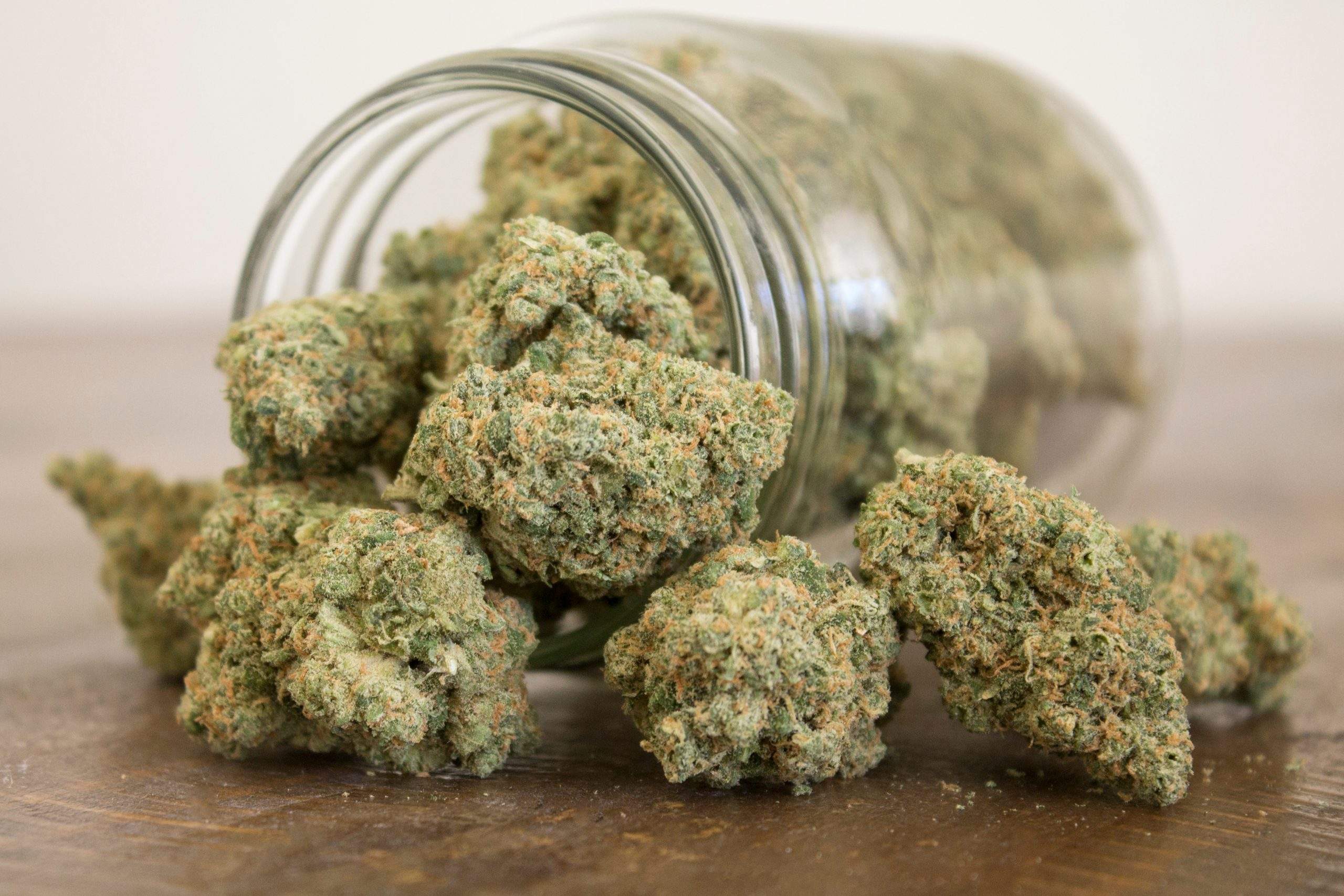 CBD Kush Auto Tested by Experts: Trust Green Leaf Store EU's Medicinal Marijuana