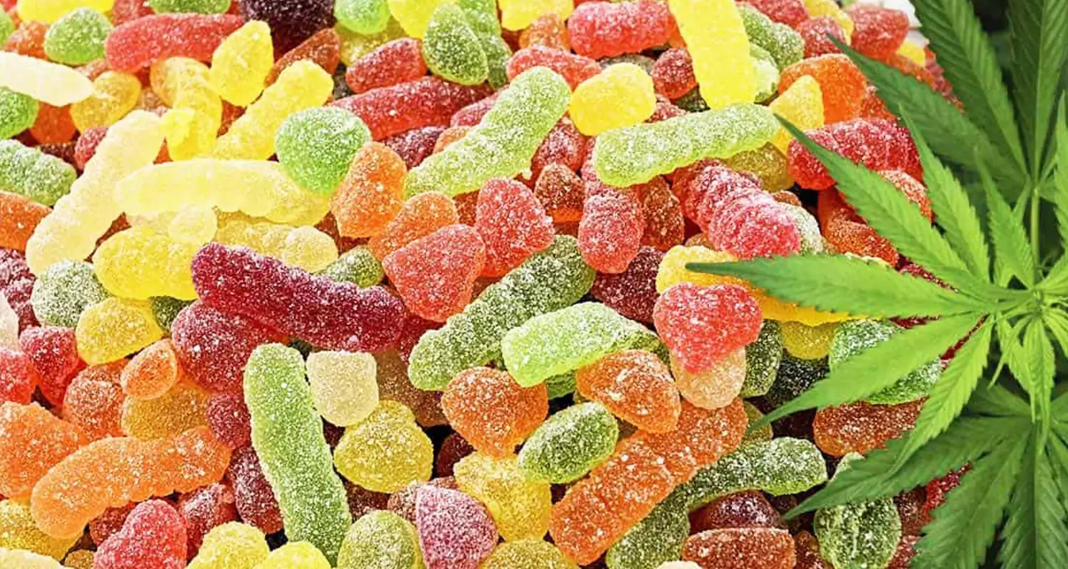 Fast Shipping on Gummies & Chocolates When You Buy Cannabis Edibles Online