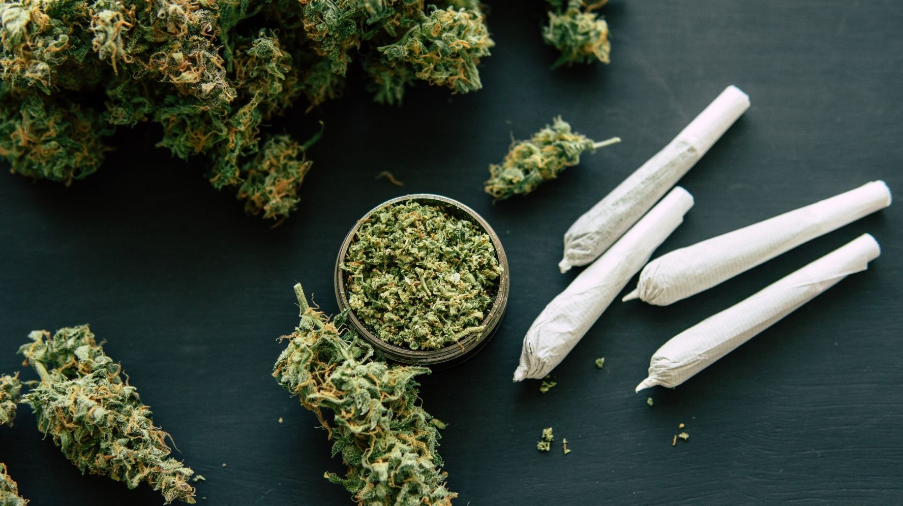 Cannabis Flower UK: Common Questions and Scientific Insights